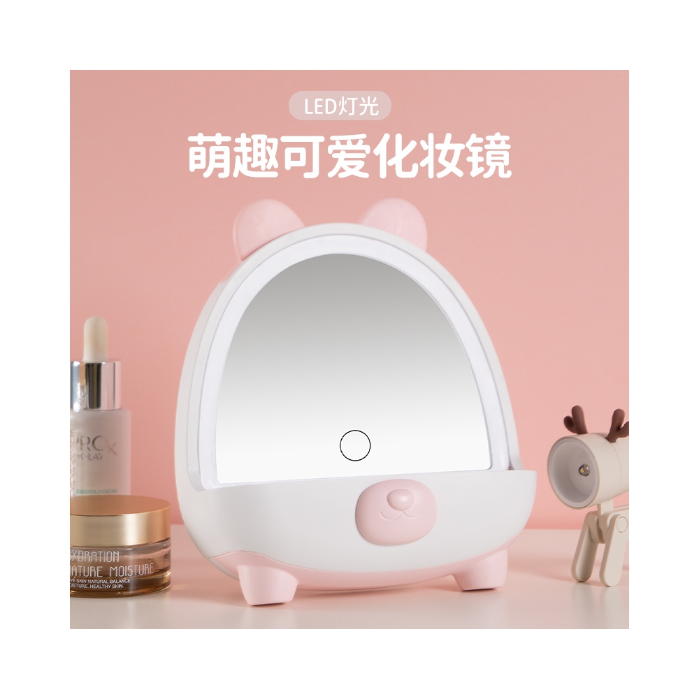 HZ309 Makeup mirror