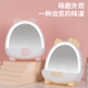 HZ309 Makeup mirror