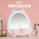 HZ309 Makeup mirror